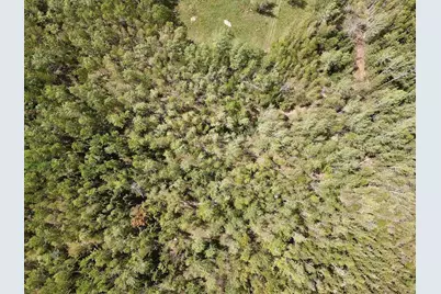 Tbd Chemo Pond Road, Eddington, ME 04428 - Photo 13