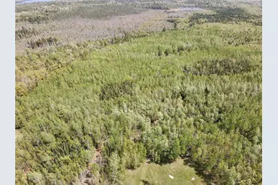 Tbd Chemo Pond Road, Eddington, ME 04428 - Photo 11