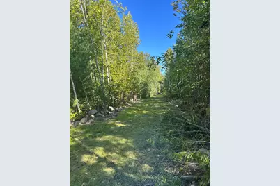 Tbd Chemo Pond Road, Eddington, ME 04428 - Photo 5