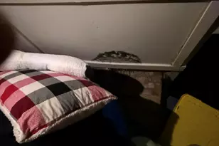 105 Bray Ave, Fairfield, ME 04937 - Photo 15