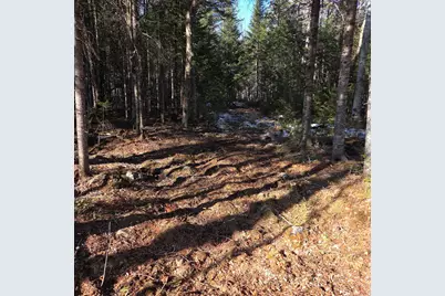 735 Mountain Road, Seboeis Plantation, ME 04448 - Photo 21