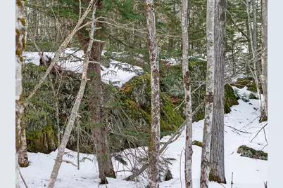 0 Sebasco Road, Phippsburg, ME 04562 - Photo 11