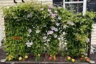 99 Shepherd Dr, Bangor, ME 04401 - Photo 29