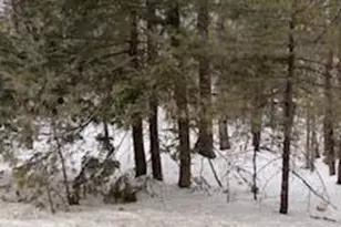 Lot# 0 Roosevelt Trail, Naples, ME 04055 - Photo 1