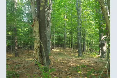 594 River Road Road, Windham, ME 04062 - Photo 7