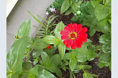 35 Deerfield Drive, Brunswick, ME 04011 - Photo 61