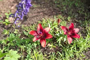 35 Deerfield Dr, Brunswick, ME 04011 - Photo 39