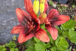 35 Deerfield Dr, Brunswick, ME 04011 - Photo 41