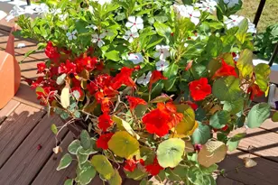 35 Deerfield Dr, Brunswick, ME 04011 - Photo 29