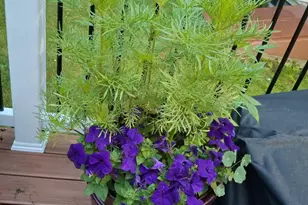 35 Deerfield Dr, Brunswick, ME 04011 - Photo 31