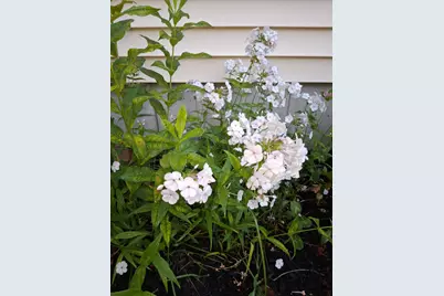 35 Deerfield Drive, Brunswick, ME 04011 - Photo 73