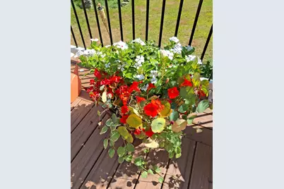 35 Deerfield Drive, Brunswick, ME 04011 - Photo 59