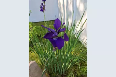 35 Deerfield Drive, Brunswick, ME 04011 - Photo 75