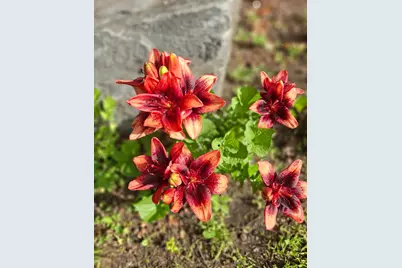 35 Deerfield Drive, Brunswick, ME 04011 - Photo 71