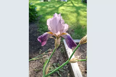 35 Deerfield Drive, Brunswick, ME 04011 - Photo 77