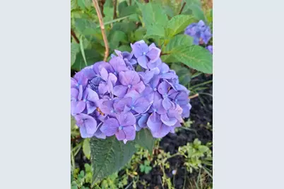 35 Deerfield Drive, Brunswick, ME 04011 - Photo 55