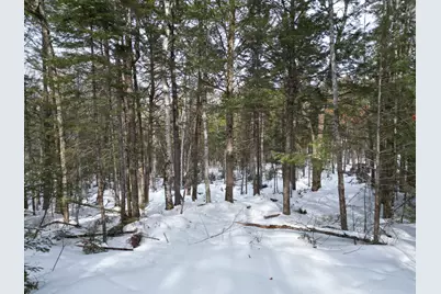 12 Falcon Ridge, Lincoln, ME 04457 - Photo 5