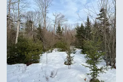 0 Holmes Drive, Bucksport, ME 04416 - Photo 9