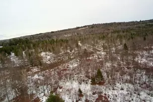 1354 Maine 150, Parkman, ME 04443 - Photo 61