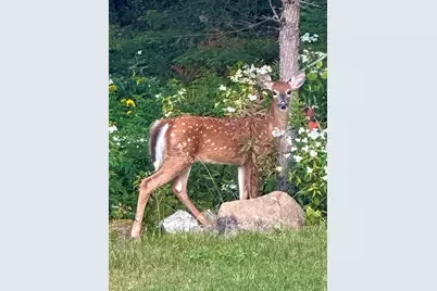 170 Partridge Cove Road, Lamoine, ME 04605 - Photo 39