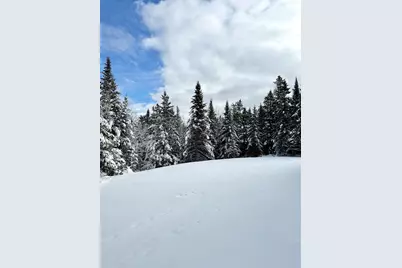 170 Partridge Cove Road, Lamoine, ME 04605 - Photo 43