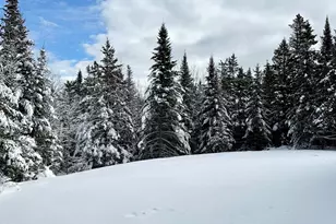 170 Partridge Cove Rd, Lamoine, ME 04605 - Photo 43