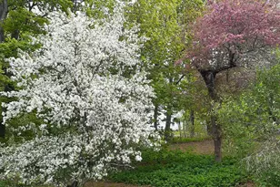 61 Pleasant St, Dexter, ME 04930 - Photo 71