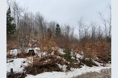 [Address not provided], Buckfield, ME 04220 - Photo 3