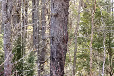 M4L38&39 West Old Main Road, Lowell, ME 04493 - Photo 1