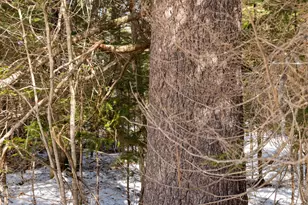 R7L14A Route 157 Rte, Mattawamkeag, ME 04459 - Photo 1