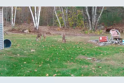 35 Pierce Road, Oxford, ME 04270 - Photo 39