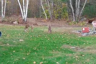 35 Pierce Rd, Oxford, ME 04270 - Photo 41