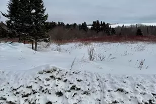 314 Flat Mountain Rd, Saint Agatha, ME 04772 - Photo 11