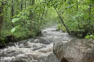 488 Bog Rd, New Portland, ME 04961 - Photo 11