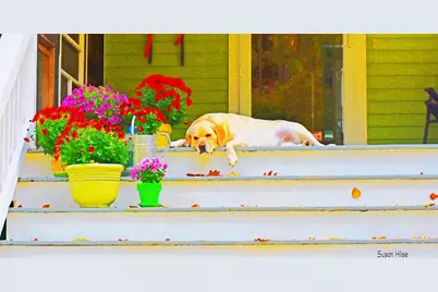 20 Fenderson Road, Saco, ME 04072 - Photo 83