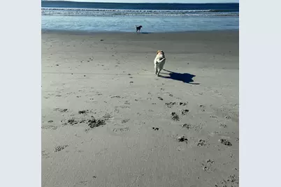 20 Fenderson Road, Saco, ME 04072 - Photo 85