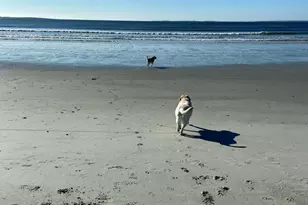 20 Fenderson Rd, Saco, ME 04072 - Photo 85