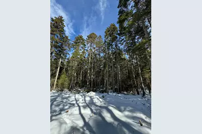 12 Jamestown Road, Vinalhaven, ME 04863 - Photo 9