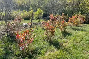 199 Elm St, Mercer, ME 04957 - Photo 29