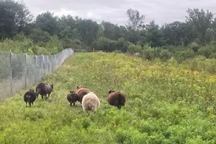 199 Elm St, Mercer, ME 04957 - Photo 21