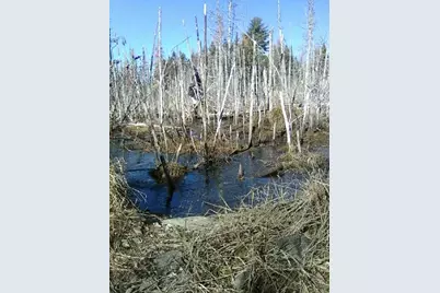 913 Skedgell Road, Cary, ME 04471 - Photo 9