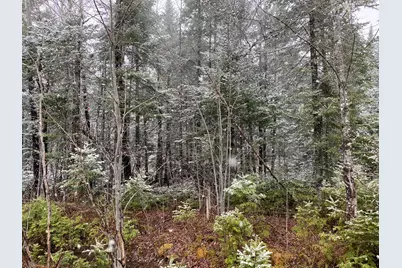 913 Skedgell Road, Cary, ME 04471 - Photo 19