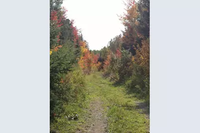 913 Skedgell Road, Cary, ME 04471 - Photo 7