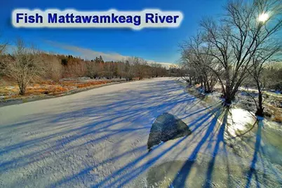 Lot 12 Denmark Road, Haynesville, ME 04497 - Photo 9