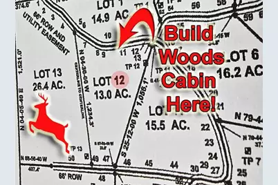 Lot 12 Denmark Road, Haynesville, ME 04497 - Photo 3