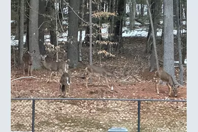 720 Parker Farm Road, Buxton, ME 04093 - Photo 43