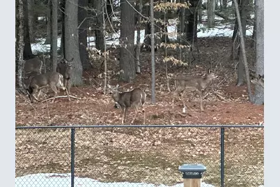 720 Parker Farm Road, Buxton, ME 04093 - Photo 41