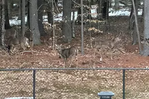 720 Parker Farm Rd, Buxton, ME 04093 - Photo 41