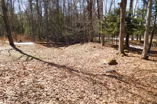 164 Alpine St, Paris, ME 04268 - Photo 43