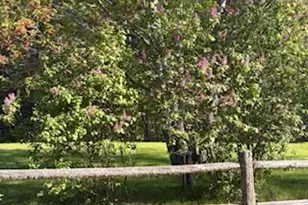 27 Oak Point Rd, Harrington, ME 04643 - Photo 25